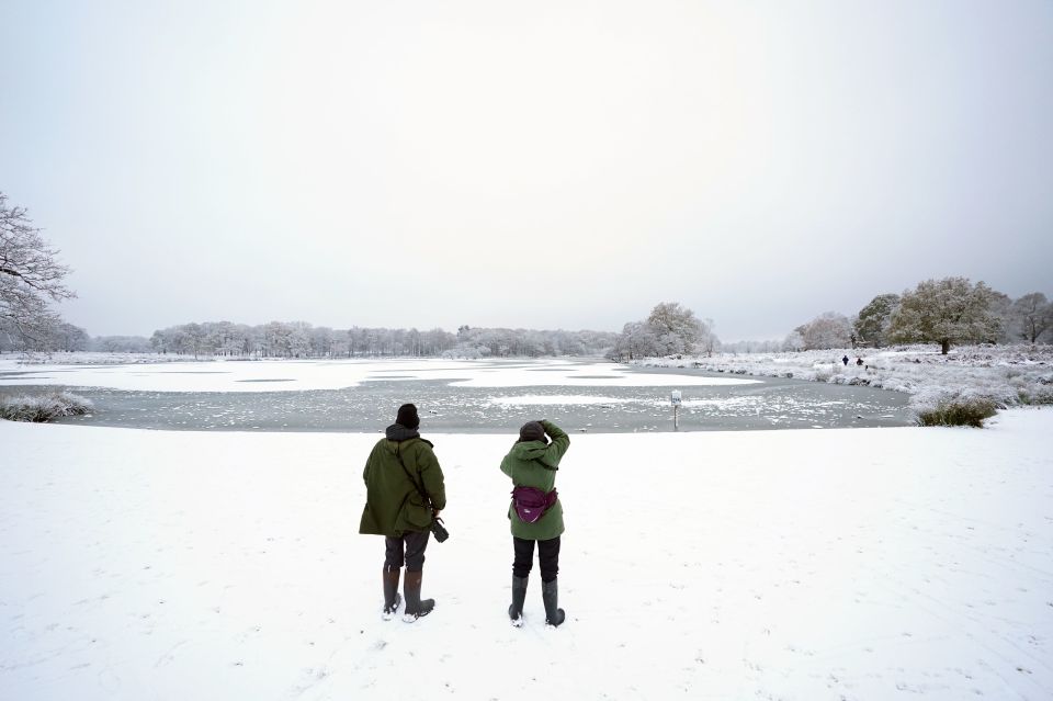 People looking at a frozen lake in Richmond Park in South West London