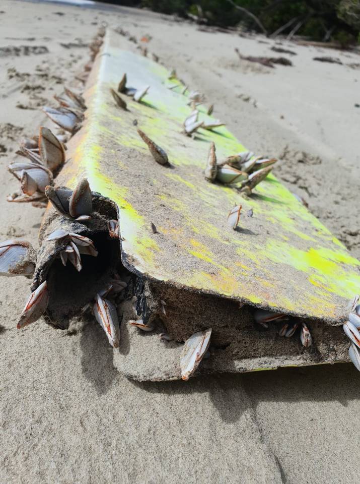 Debris been found on a remote beach in Australia’s far north