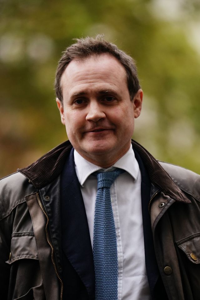 Tom Tugendhat fears the video sharing app will be used to 'influence minds' of first-time voters