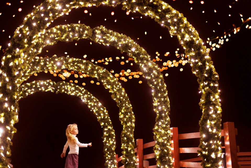 Thousands of fairy lights will line the paths