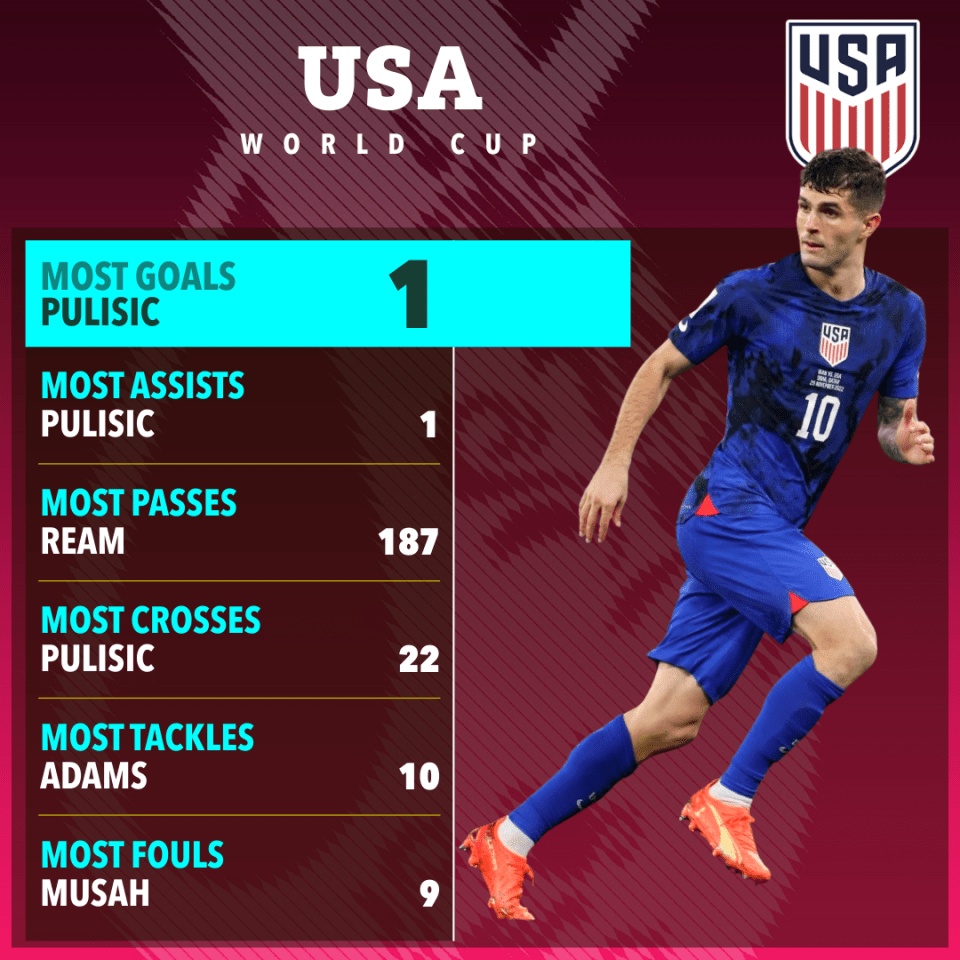 Christian Pulisic of Chelsea has lit up the World Cup for the USA.