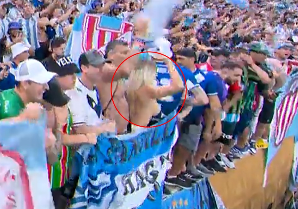 Fans spotted a topless fan during the World Cup final