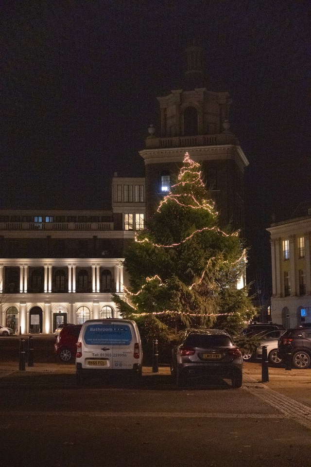 The 'miserable' 30ft Christmas tree in Poundbury, Dorset