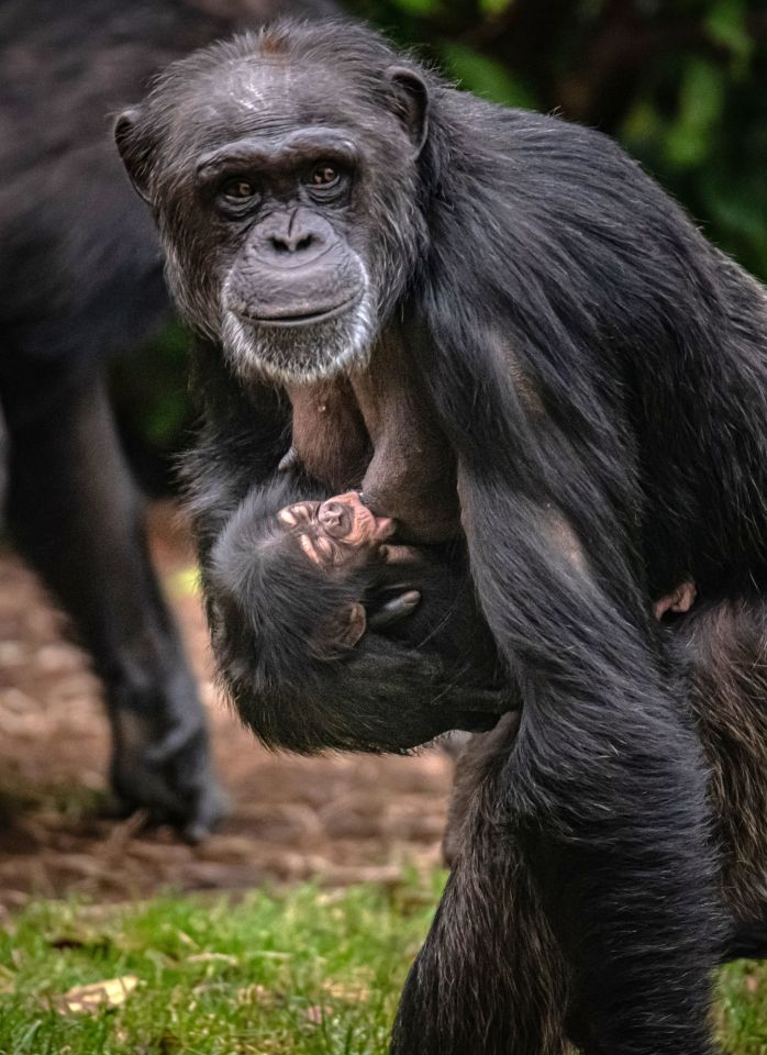 New mum ZeeZee has been bonding with the healthy baby boy