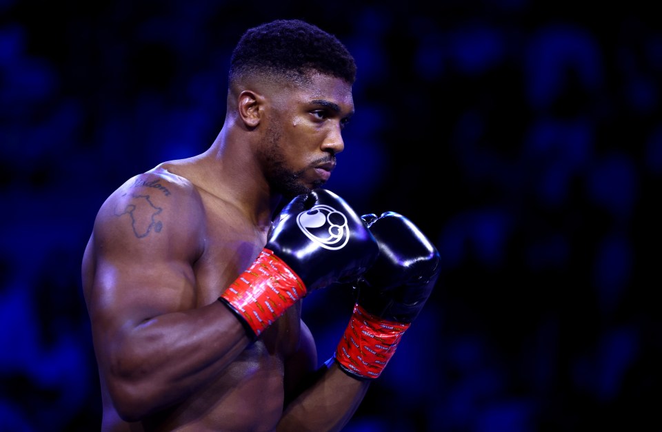 Anthony Joshua has been called out by Francis Ngannou