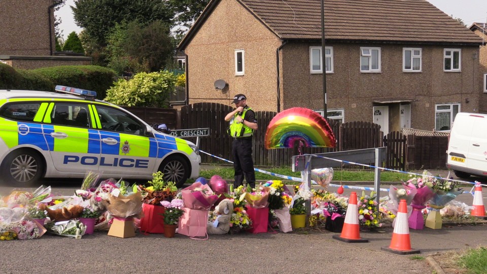 The children had been enjoying a sleepover when the horror unfolded