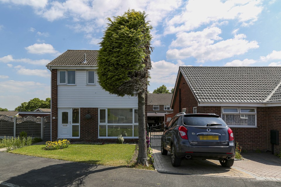 Neighbours remain locked in a bitter feud after a tree was sawed in half