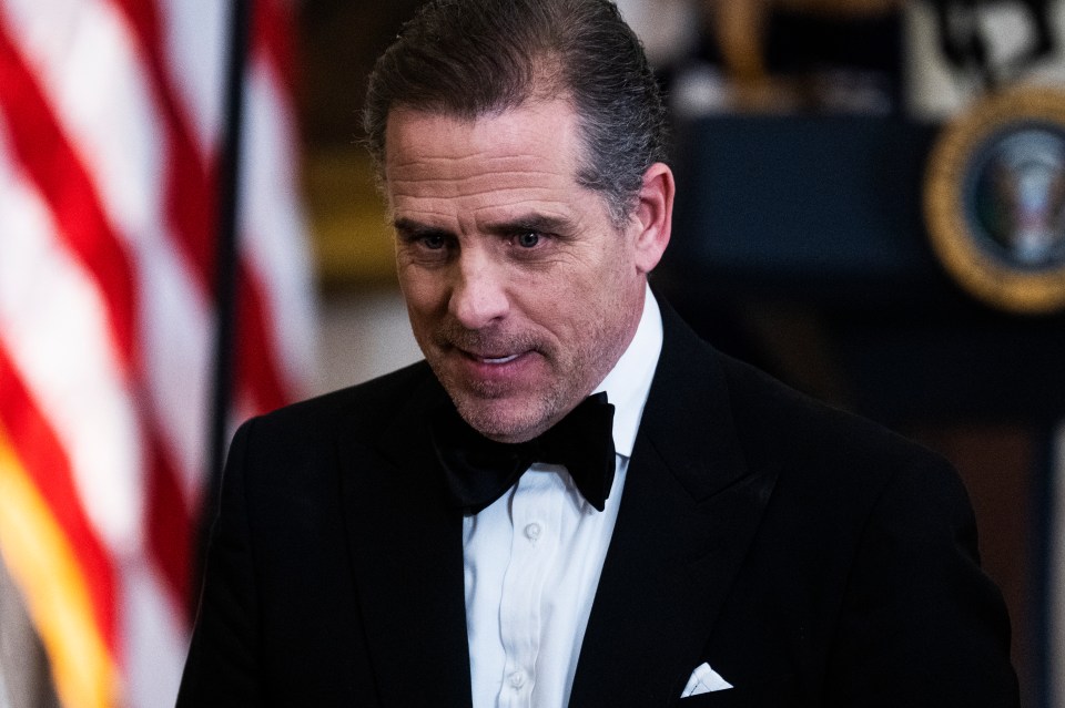 Hunter Biden has been hit by a series of scandals in recent year