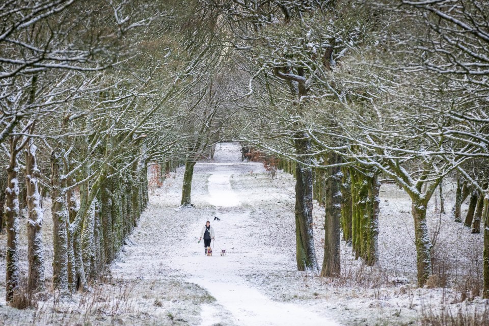 A dog walker passes through Lever Park in Rivington, Lancashire