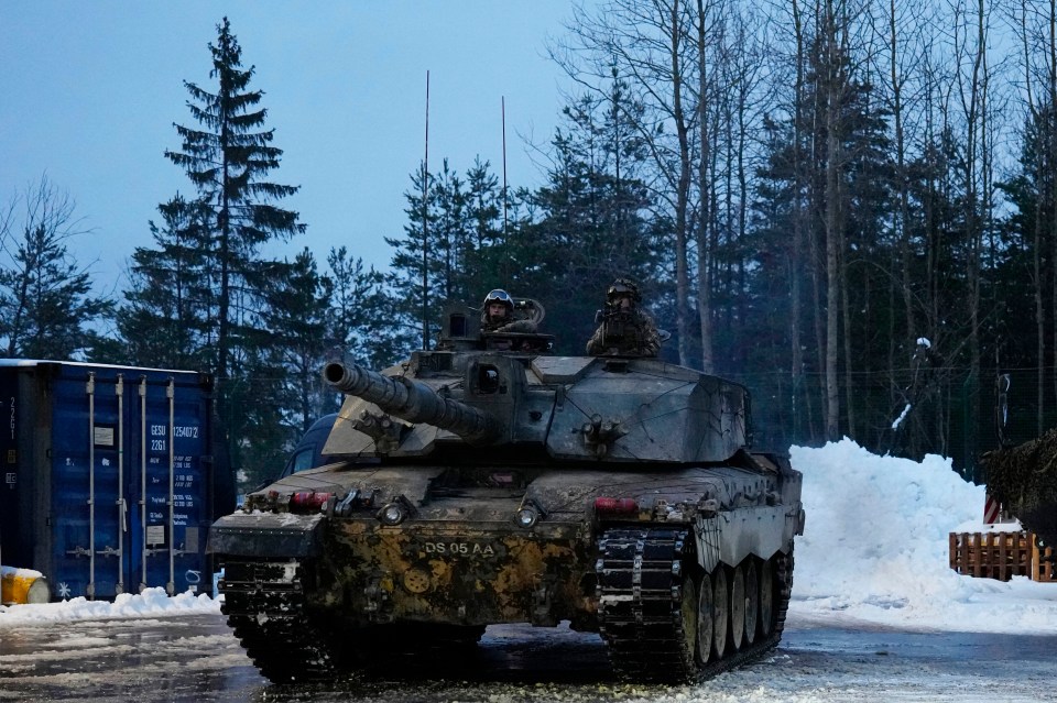 There had been hopes that Germany would authorise the release of its battle tanks