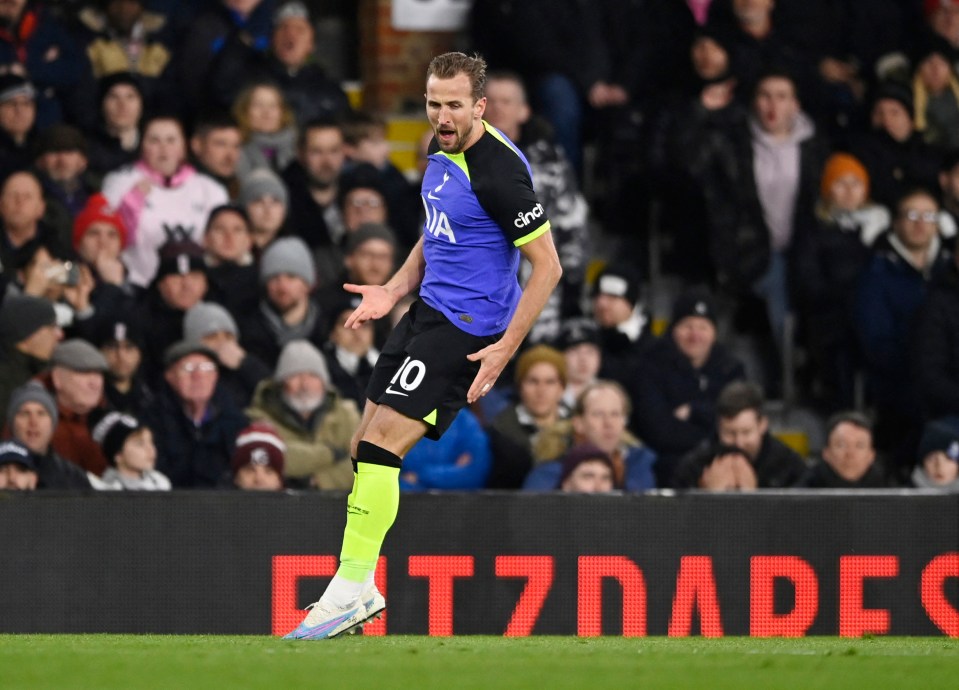 Harry Kane celebrates after equalling Jimmy Greaves' Spurs record