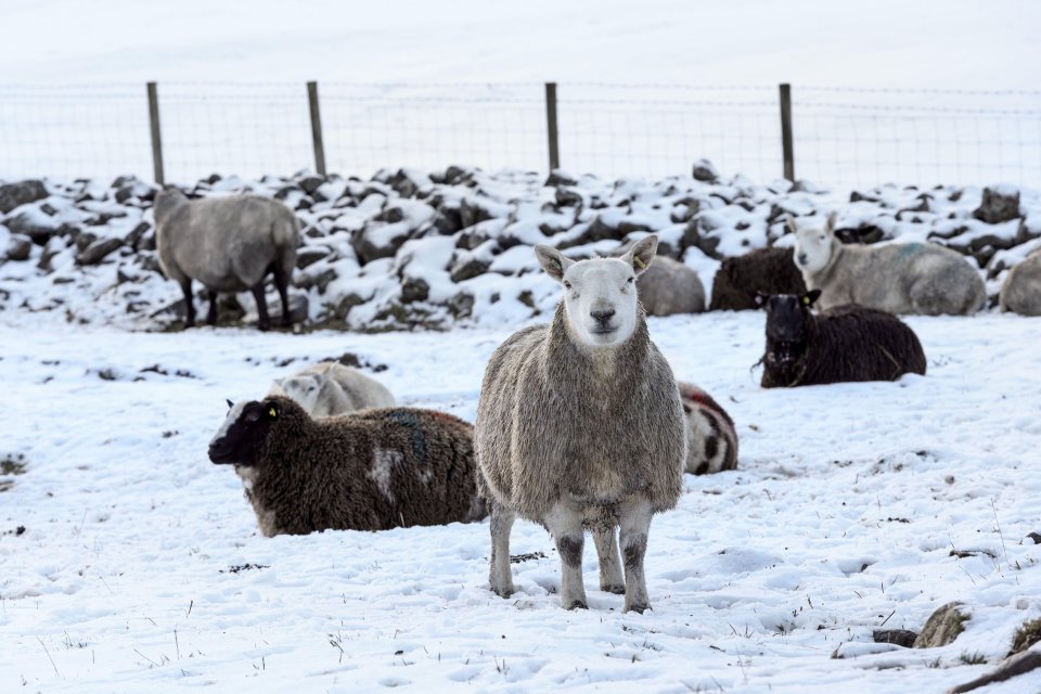 A yellow weather warning in force snow and ice are affecting parts of Teesdale, County Durham