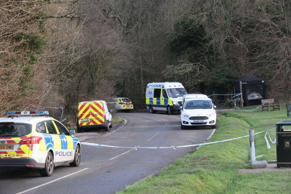 The tragic incident took place on the popular dog walking spot on Gravelly Hill, Caterham in Surrey