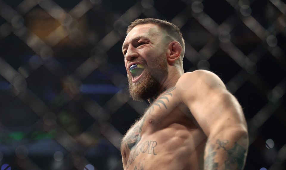 Conor McGregor is hoping to return to the octagon in the coming months