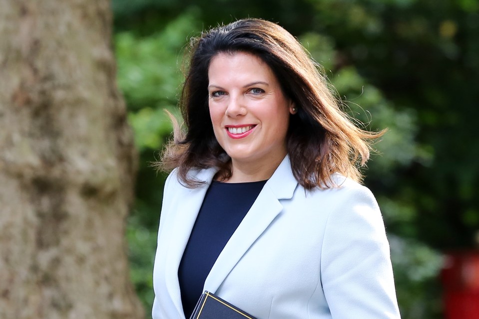 Women and Equalities Committee chairwoman Caroline Nokes said ministers are being complacent with women's health