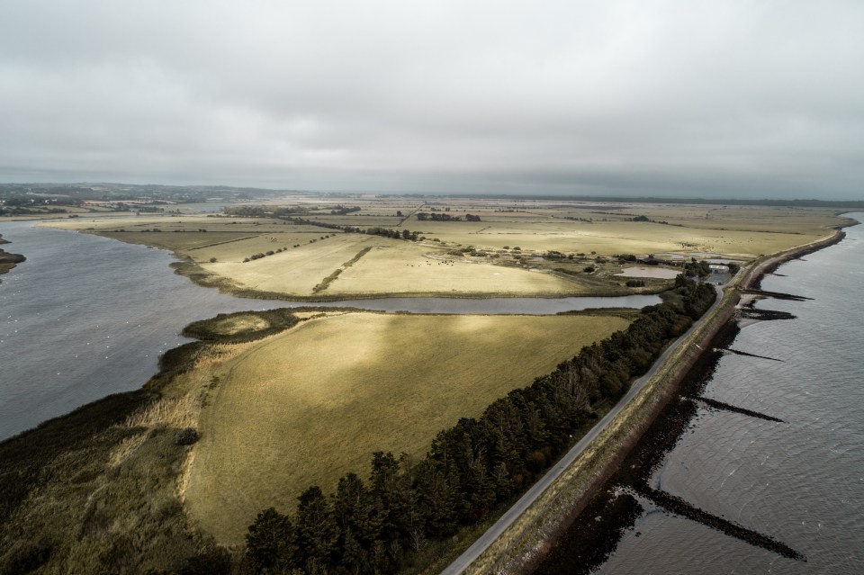 Explore the beautiful expanse of wetlands, lakes, meadows and gullies at Wexford Wildfowl Reserve