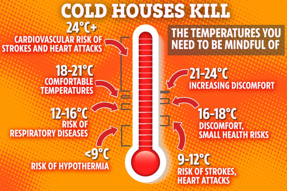 The thermometre above shows the temperatures that could be putting you at risk