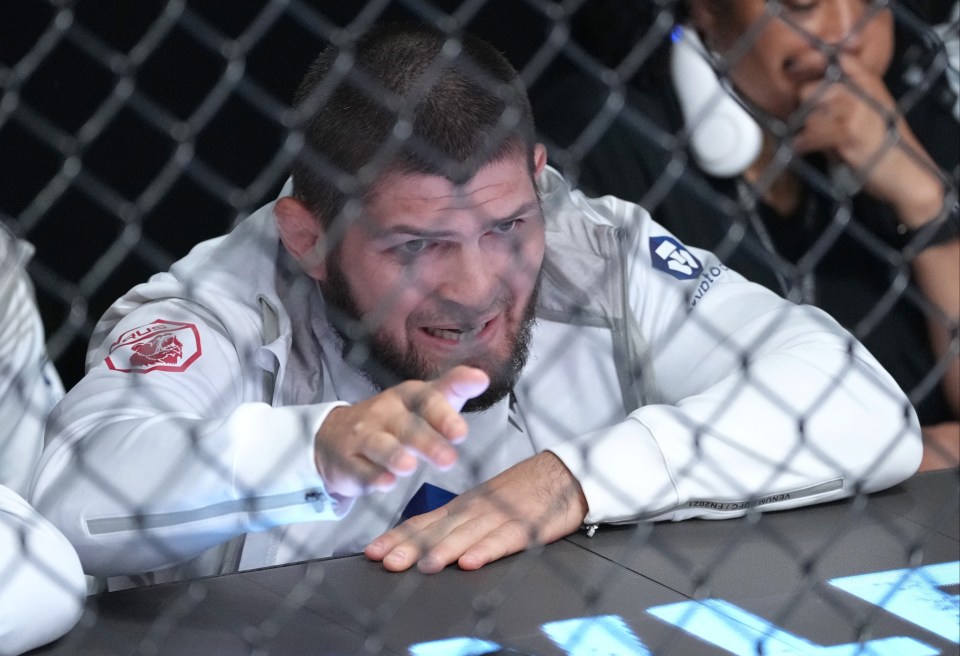 Khabib Nurmagomedov has been coaching his team-mates cage side