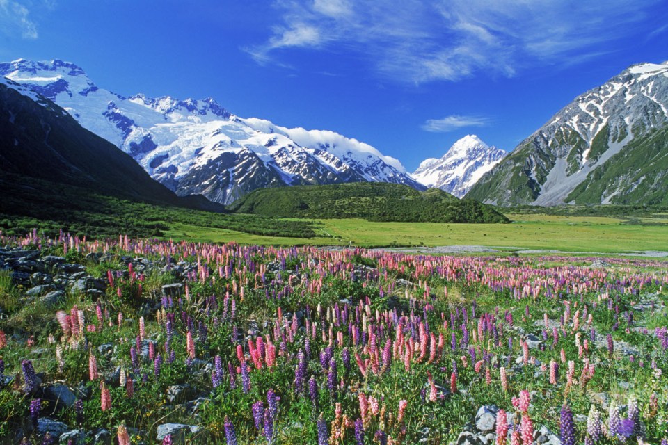 In which country would you find the Southern Alps?