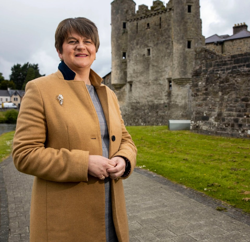 Arlene Foster is a former First Minister of Northern Ireland