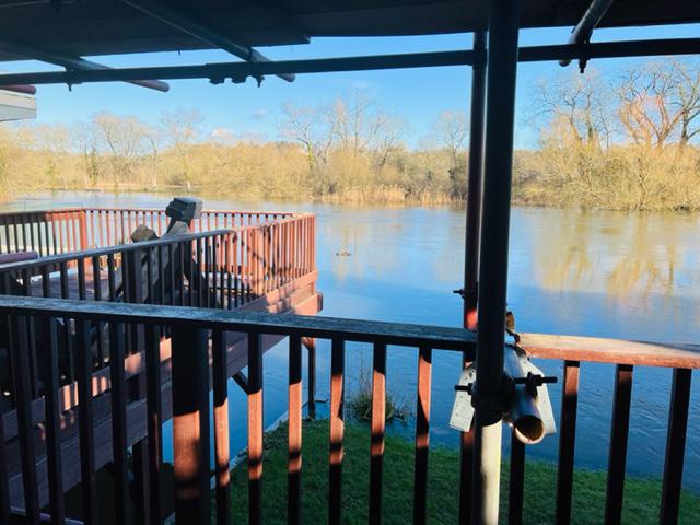 Paul Robbins was constructing a balcony three feet from the water when he spotted the 'croc'