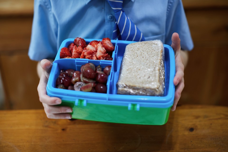 She insisted that her kids all take the Yoyos as a snack to school on a daily basis