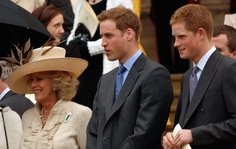 Prince Harry has accused Camilla of leaking stories to the press