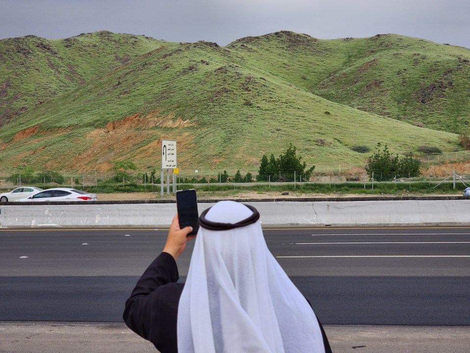 People excitedly take photos of the green phenomenon taking shape across the Gulf nation's deserts