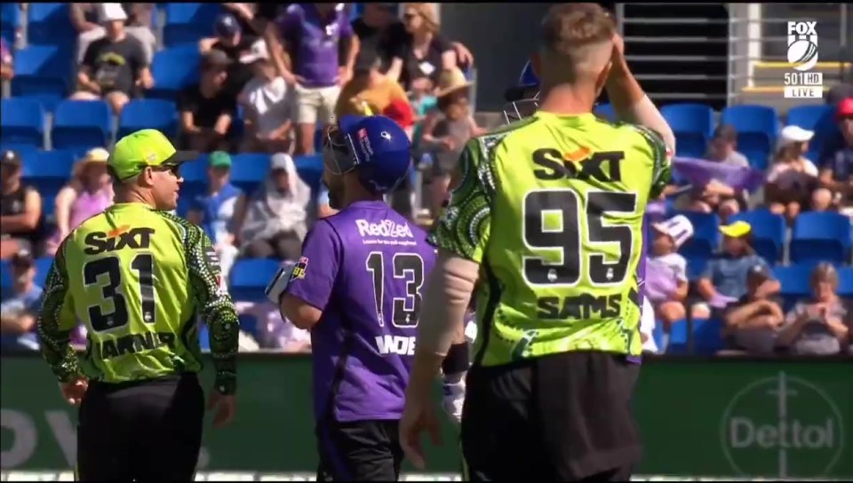 David Warner took issue after Matthew Wade was involved in an altercation with Chris Green