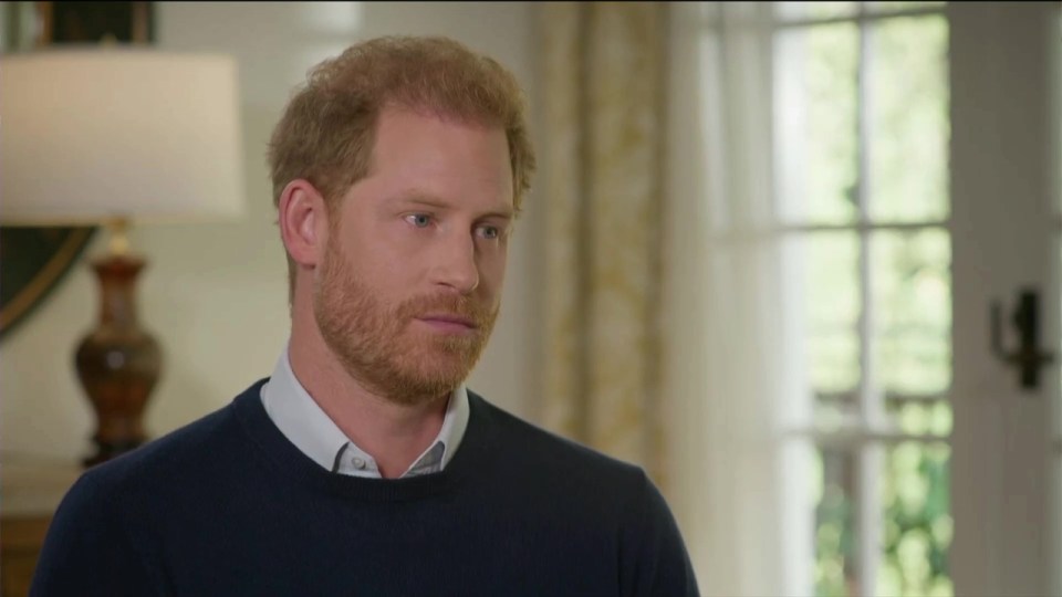 Harry as told ITV’s Tom Bradby that it wasn’t he or Meghan who labelled the royals racist but, you’ve guessed it, the British Press