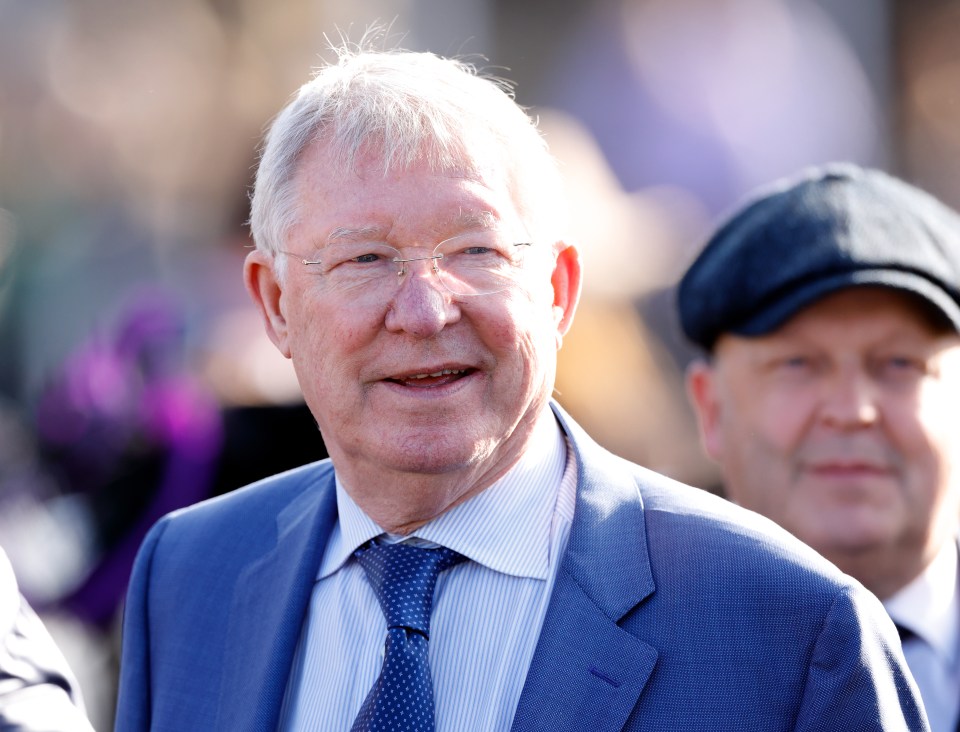 Templegate reckons Sir Alex will be celebrating a winner in Cheltenham Festival's big race