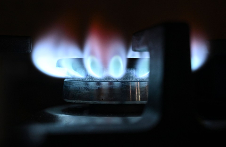 Applications for the energy bill cash will open before the end of next month