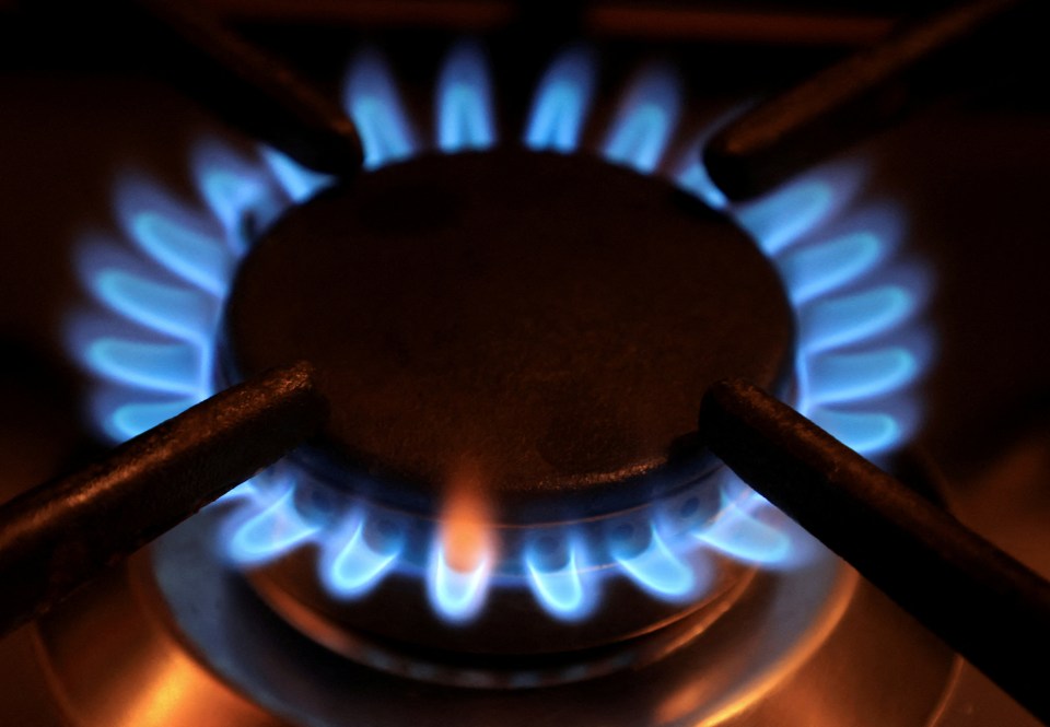 Which? has conducted a survey of all energy supplier performance - where's yours?