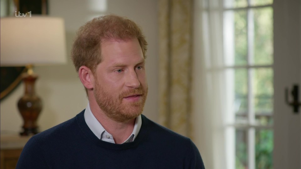 Prince Harry was told to 'lay off' his brother William’s children yesterday — after claiming he aired his gripes in a bid to help them