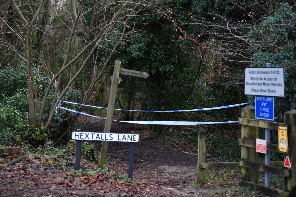 A woman has died after being attacked by a dog in Surrey yesterday afternoon