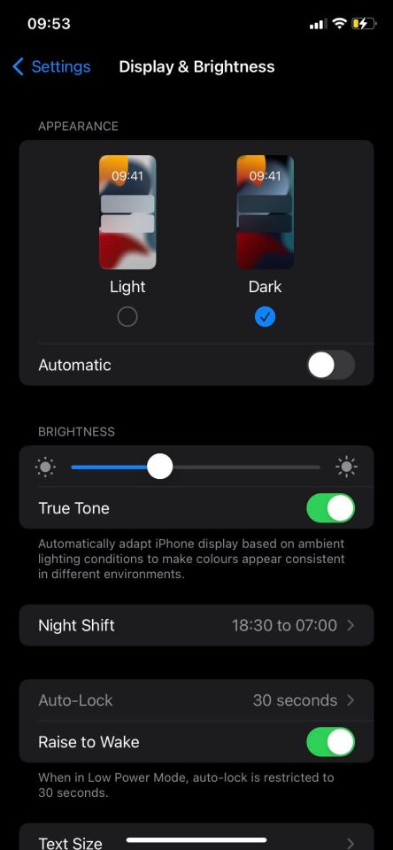 iPhone display settings showing light and dark modes.