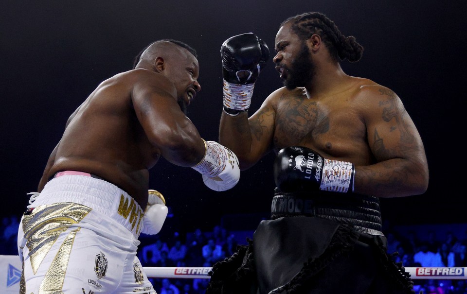 Jermaine Franklin, right, lost a close decision to Dillian Whyte in November