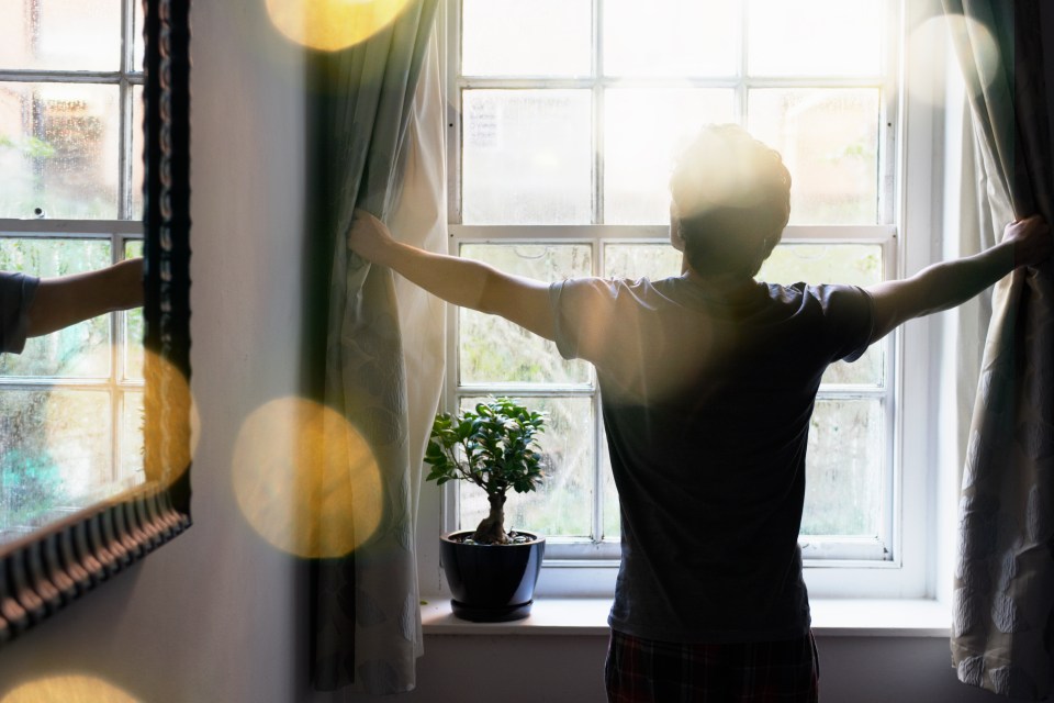 Opening curtains and blinds each morning will banish condensation