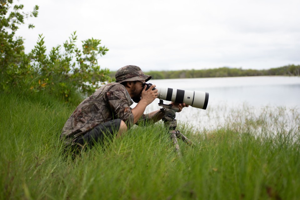 He enjoys photographing wild beasts such as lions, tigers and cheetahs