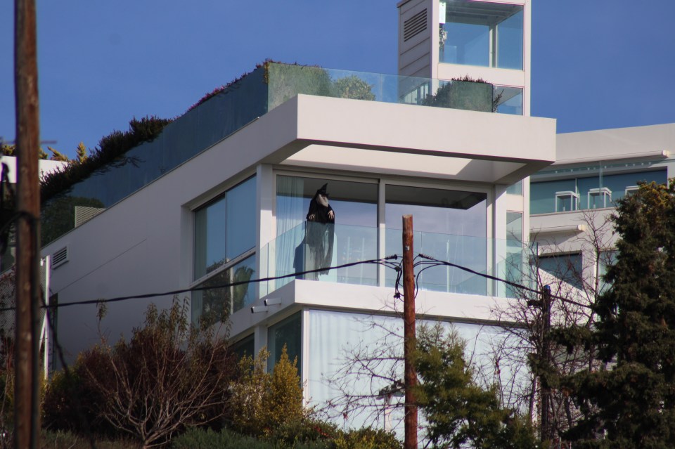 The witch overlooking the Piques' home