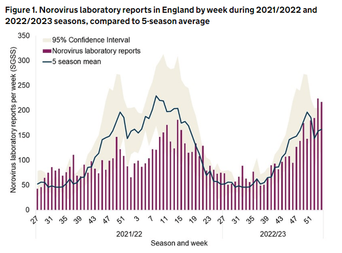 Separate data from the UKSHA shows norovirus cases from the start of 2021 to the last week Credit: UKHSA