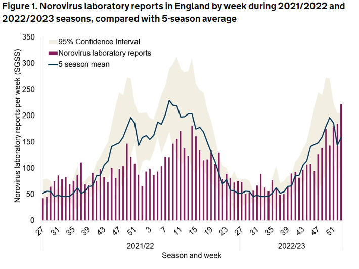 The chart above shows norovirus cases from the start of 2021 to the last week