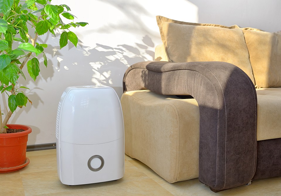 Using your dehumidifier could be adding more than £100 to your energy bill