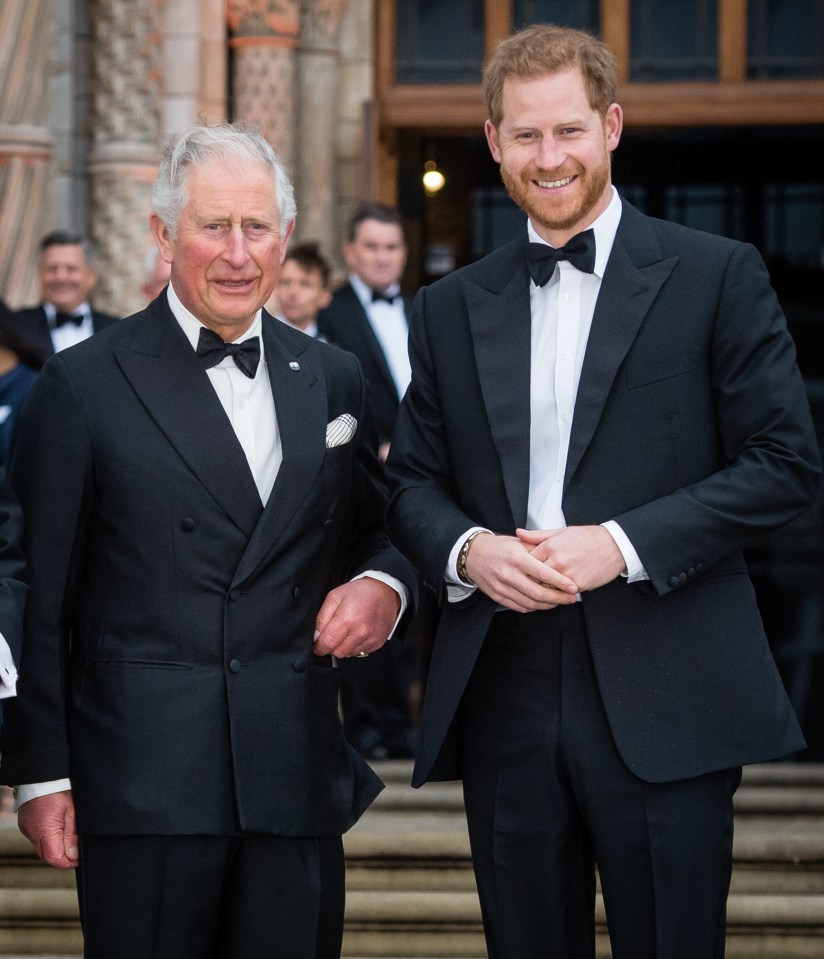 Prince Harry, pictured with the then-Prince Charles in April 2019