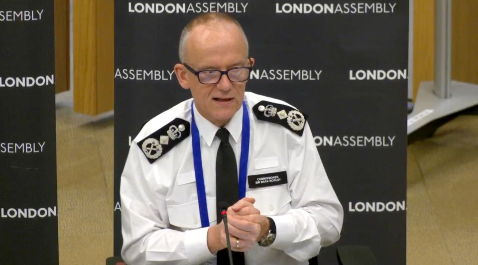 Met Commissioner Sir Mark Rowley described the case as 'ghastly'