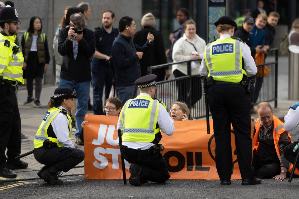 Rishi Sunak will announce that cops will be able to speedily tackle climate protesters before demos