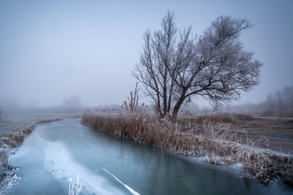 A frosty and foggy morning in Cambridgeshire today