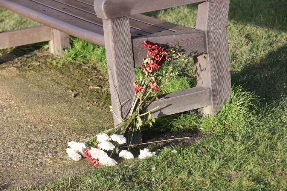 Flowers at the scene where the animal attacked members of the public