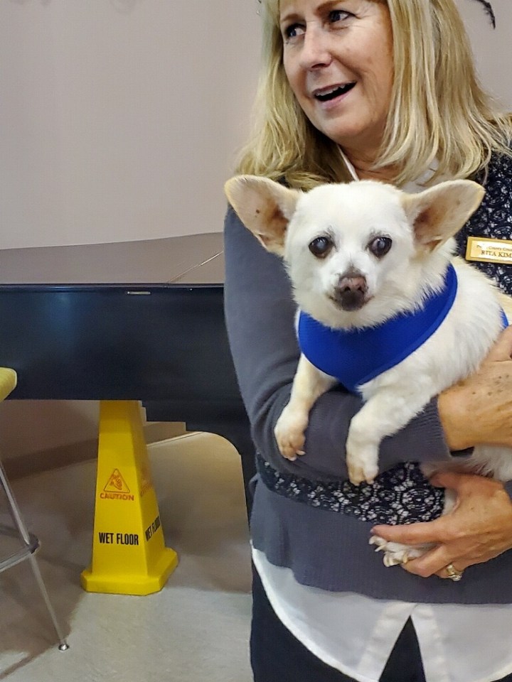 The rescue pooch lives on a farm with owner Rita Kimball