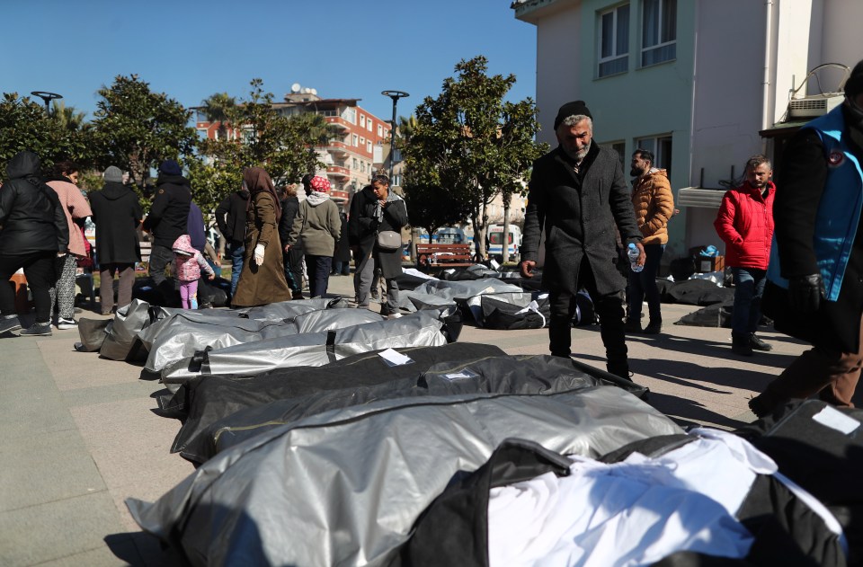 Remains of those killed have been lined up for families to claim in Hatay, Turkey